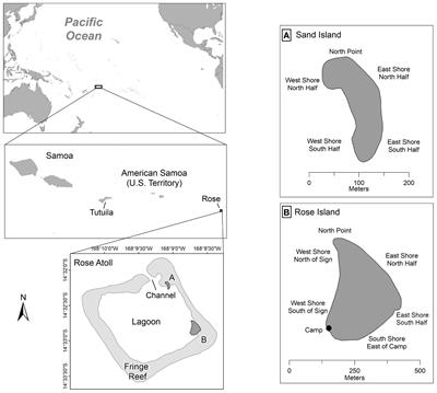 Abundance, production, and migrations of nesting green turtles at Rose Atoll, American Samoa, a regionally important rookery in the Central South Pacific Ocean